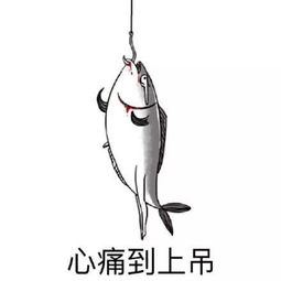 搞笑咸鱼表情包系列表情包,别拦我,我要跳海自杀
