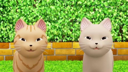 甜甜私房猫两只野猫看到小飘飘肥嘟嘟的就想把它抓来吃掉