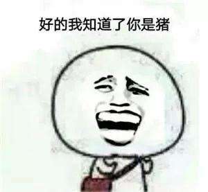 抖音说,你是猪无水印表情包分享