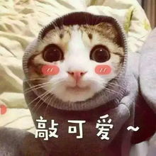 不惊艳不谋面新古典主义园林式景观,户户可观景的美宅