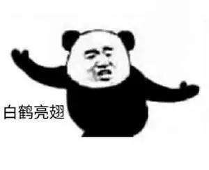 抖音武功秘籍我将毕生武功全都传给你熊猫头无水印表情包