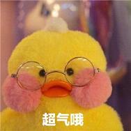 2017玻尿酸鸭表情包大全人家超可爱