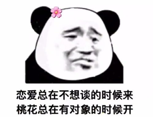 表情包我没对象怎么了我骄傲了吗