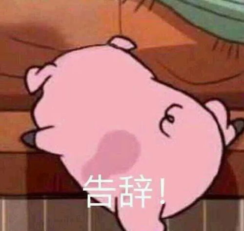 2018丽院大学生性行为调查数据出炉