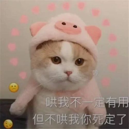 搞笑表情包多大点事