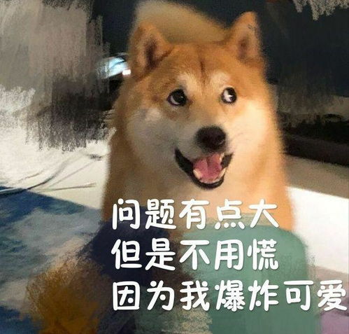 小趴菜认证表情包一条狗