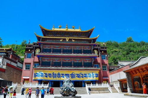 来西宁如果没去这个地方你就亏了,大塔包小塔,景色秀美