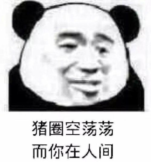 我有10000个怼人表情包,送你要不要