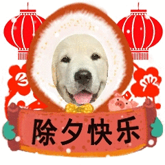 难道我是最后一个知道的微信搜一搜居然可以解锁自制拜年表情包彩蛋
