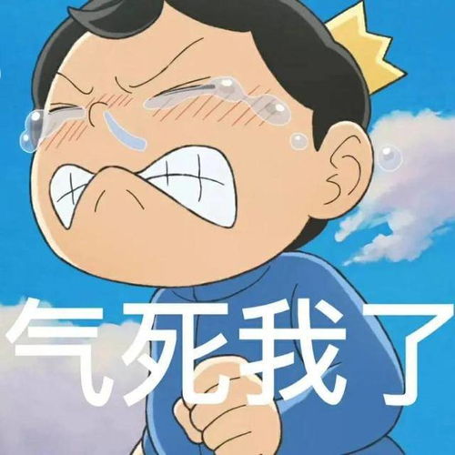 沙雕表情包,你说中国人不骗中国人