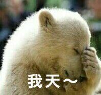 蜡笔小新跳舞gif蜡笔小新gif小表情卡通表情