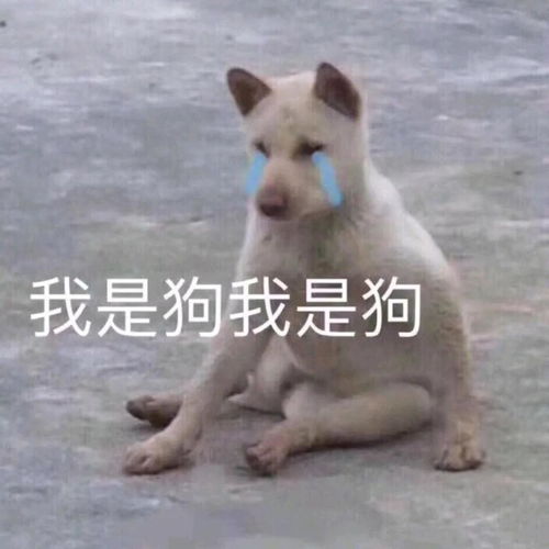 学生提前用完生活费是种怎样的体验