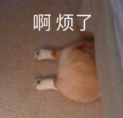 网易云音乐突然升级这些新功能太炸了