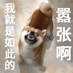 柴犬齐天认命篇表情包