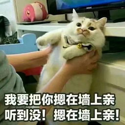 七夕情人节作死指南,科学分析那些奇啪姿势